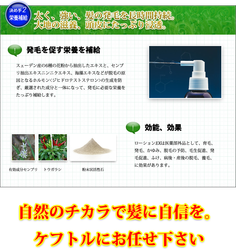 決め手2、栄養補給。太く、強い、髪の発毛を長時間持続。
大地の滋養、頭皮にたっぷり浸透。発毛を促す栄養を補給。スェーデン産の6種の花粉から抽出したエキスと、センブリ抽出エキスニンニクエキス、海藻エキスなどが脱毛の原因となるホルモン＜ジヒドロテストステロン＞の生成を防ぎ、厳選された成分と一体になって、発毛に必要な栄養をたっぷり補給します。毛細血管の血行を促進。毛細血管を刺激して血流を促します。
血液中の栄養素は毛母細胞に運ばれて毛根をしっかり育てます。活性石ベントナイト、ニコチン酸ベンジル、ビタミンE、ビタミンB6、トウガラシエキス配合。自然の力で髪に自信を。