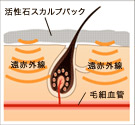 ケフトルクリームEXが頭皮にとどまり、遠赤外線が血行を促進します。