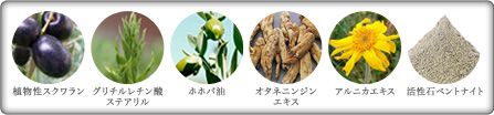 成分一覧