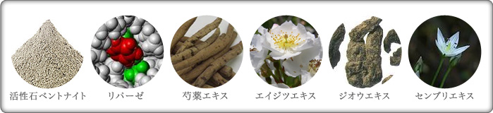 成分一覧