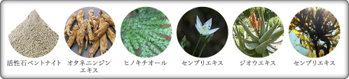 成分一覧