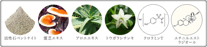 成分一覧
