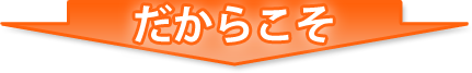だからこそ