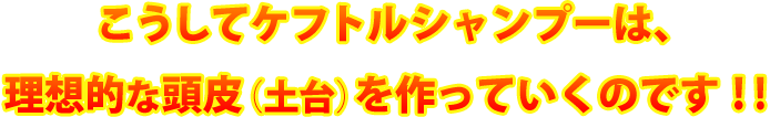 こうしてケフトルシャンプーは、理想的な頭皮(土台)を作っていくのです